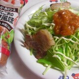 具のソースで　焼き肉サラダ風